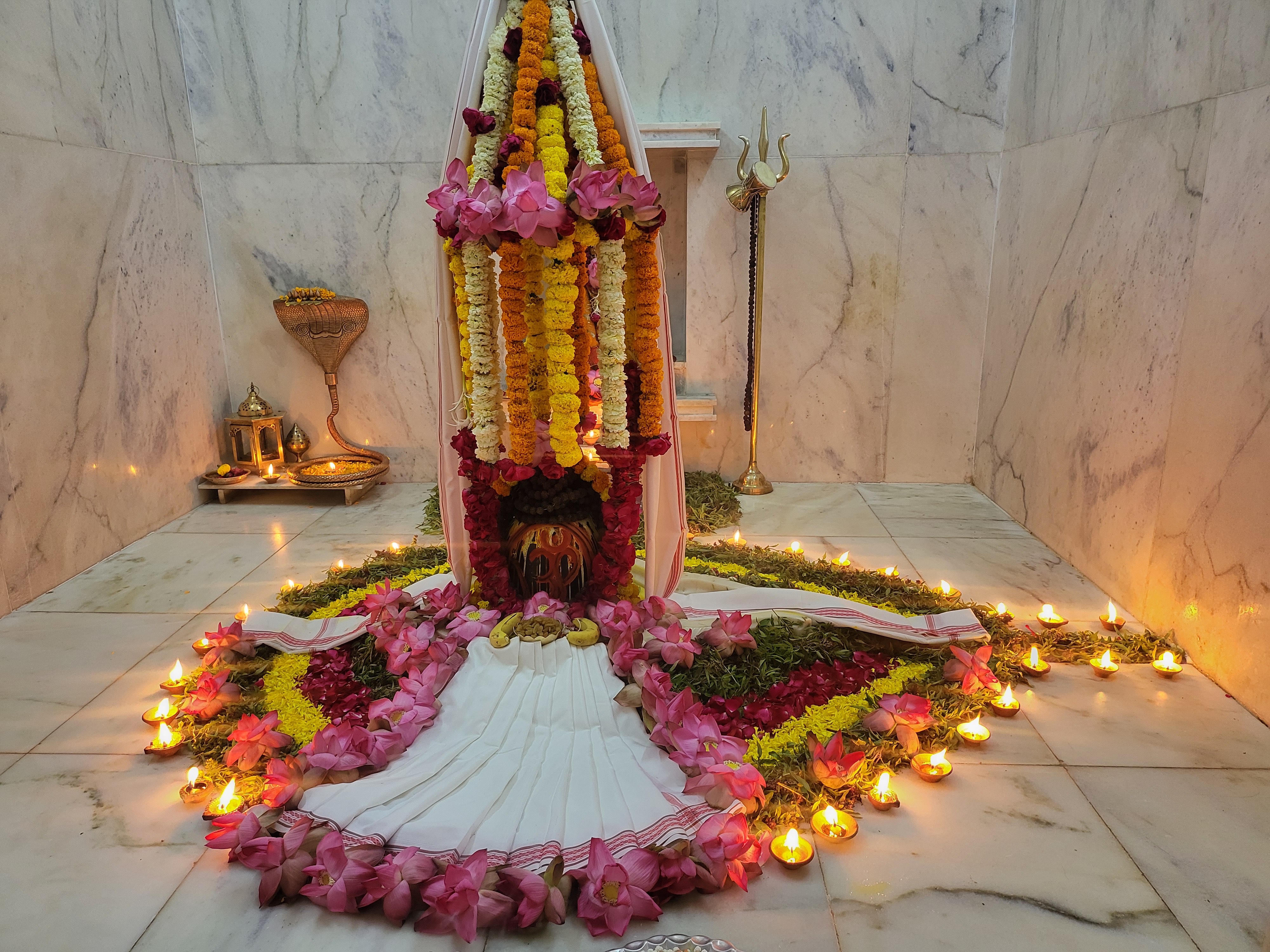 Live Darshan Logo